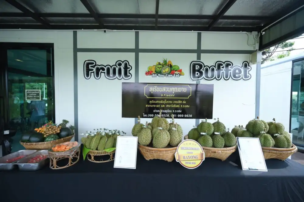 GO Hotel แจกฟรี! บุฟเฟต์ทุเรียนที่สวนคุณยาย จังหวัดระยอง เพียงจองห้องพักตรงกับ GO Hotel