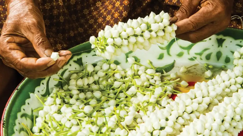 Women Behind the Experience: Four Seasons Tented Camp Golden Triangle Highlights Community Connections