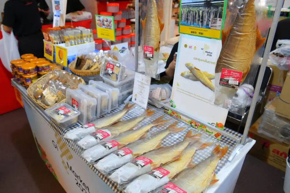 เริ่มแล้ว! 