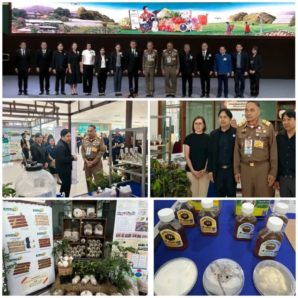 วว. ร่วมประชุมวิชาการผลสำเร็จงานวิจัยของมูลนิธิโครงการหลวง - สถาบันวิจัยและพัฒนาพื้นที่สูงฯ ประจำปี 2569 พร้อมนำเสนอนิทรรศการเทคโนโลยีส่งเสริมการเพาะเห็ดโดยใช้เชื้อชีวพันธุ์ทางด้านการเกษตร