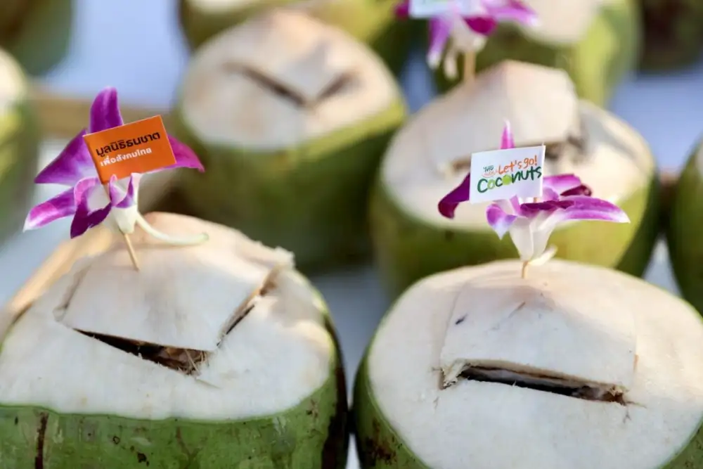 มูลนิธิธนชาตฯ ผนึกกำลัง MBK และพันธมิตร แจกฟรี