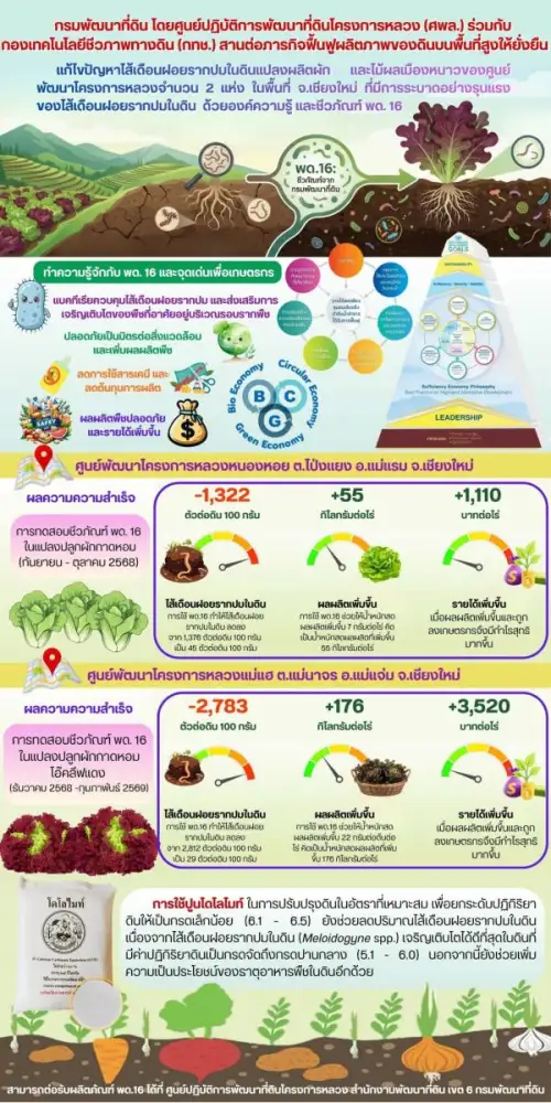 พด. สานต่อภารกิจฟื้นฟูดิน ควบคุมปราบไส้เดือนฝอยตัวร้าย เพิ่มผลผลิตบนดอยโครงการหลวง