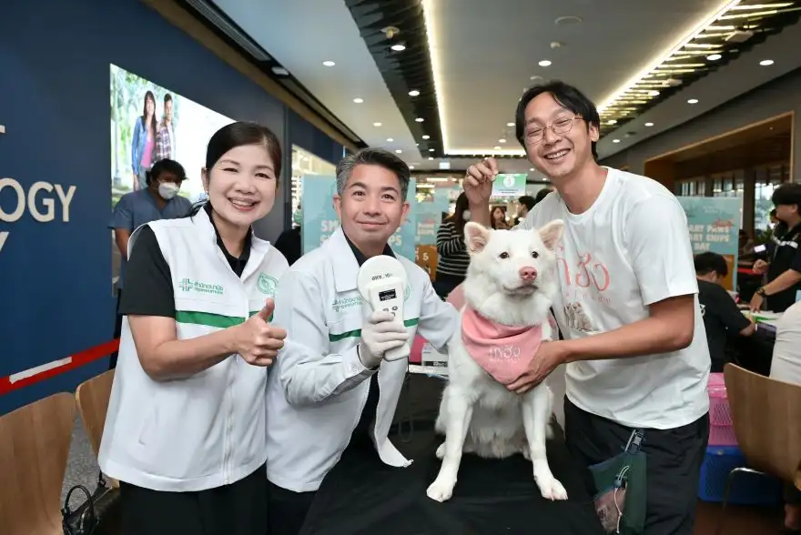 กทม. ชวนจดทะเบียน-ฉีดฝังไมโครชิปสัตว์เลี้ยง จองผ่าน Traffy Fondue ได้แล้ววันนี้