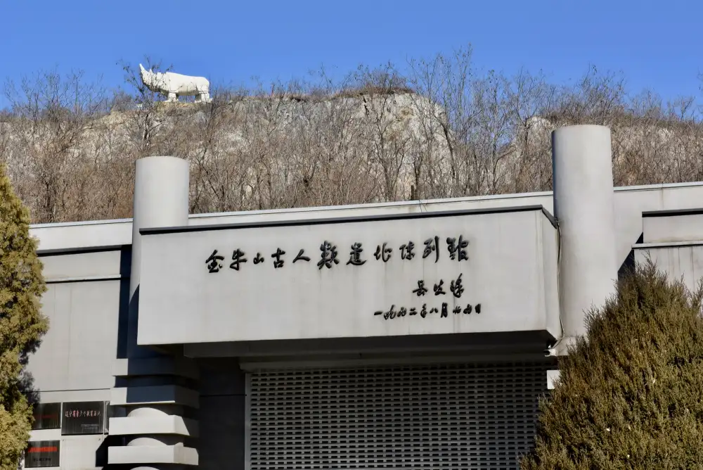 Yingkou Jinniushan Site: A 260,000-Year Legacy That Fills a Critical Gap in Human Evolution