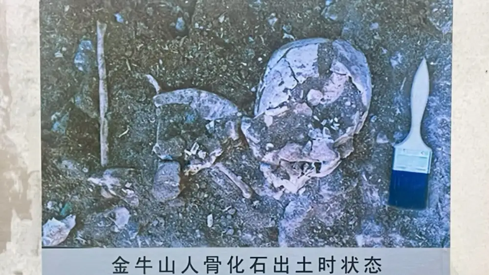 Yingkou Jinniushan Site: A 260,000-Year Legacy That Fills a Critical Gap in Human Evolution