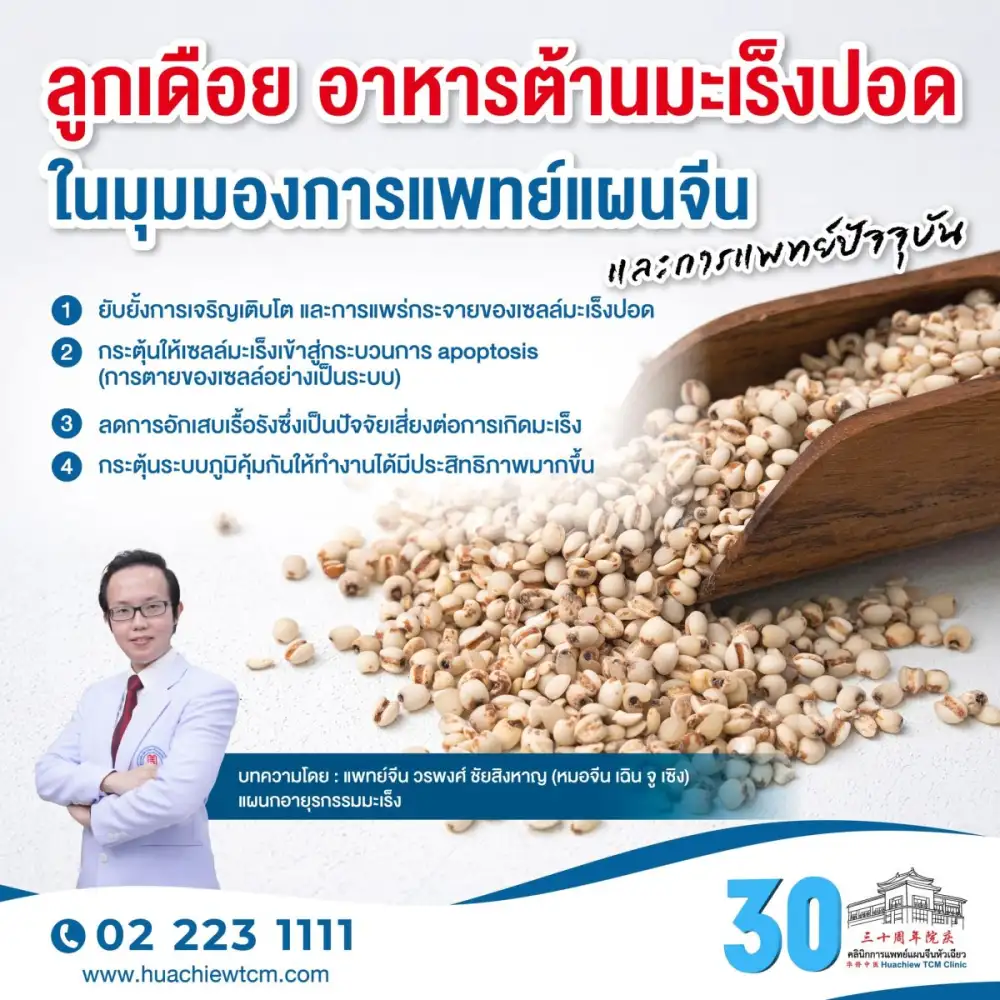 ลูกเดือย อาหารต้านมะเร็งปอด ในมุมมองการแพทย์แผนจีน และการแพทย์ปัจจุบัน