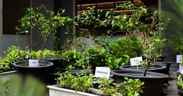 โรงแรม มาดี ไปดี กรุงเทพ ออโตกราฟ คอลเล็คชั่น ยกระดับการบริการด้วยแนวคิดความยั่งยืนอย่างมีความหมาย