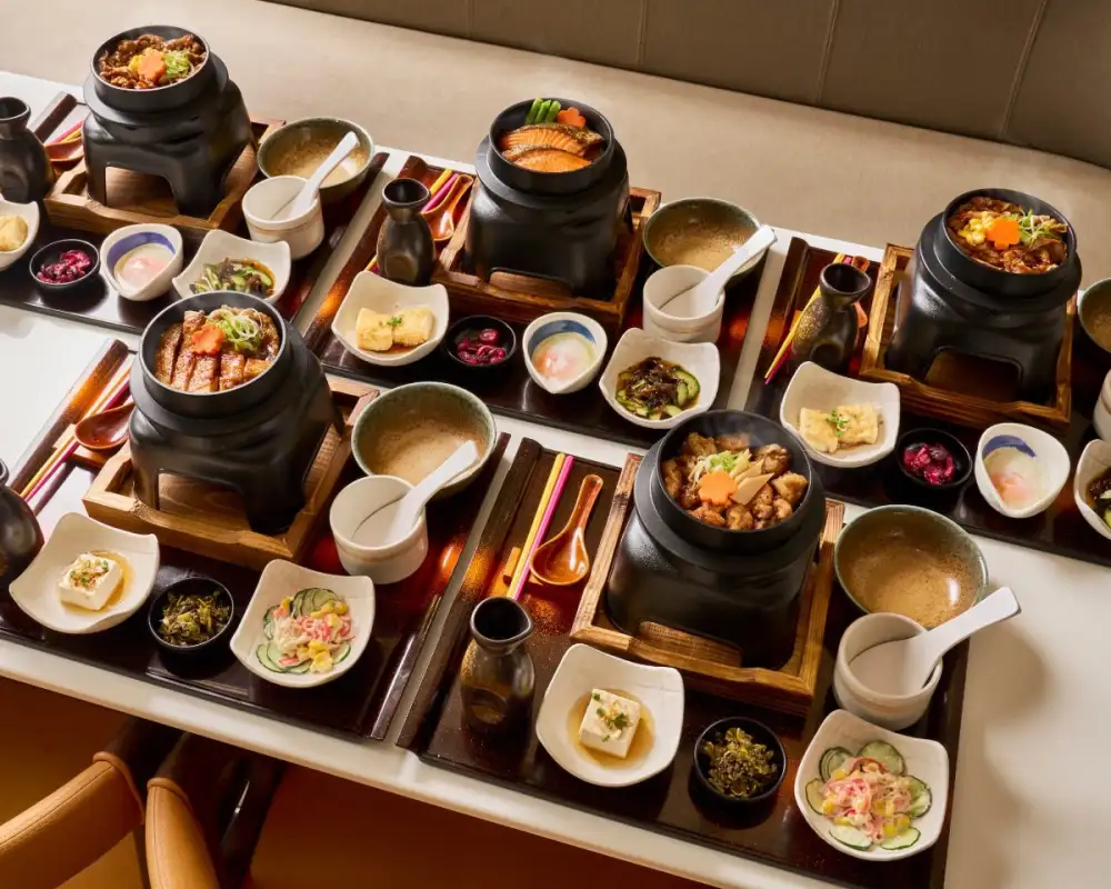 ยาโยอิ เปิดตัว