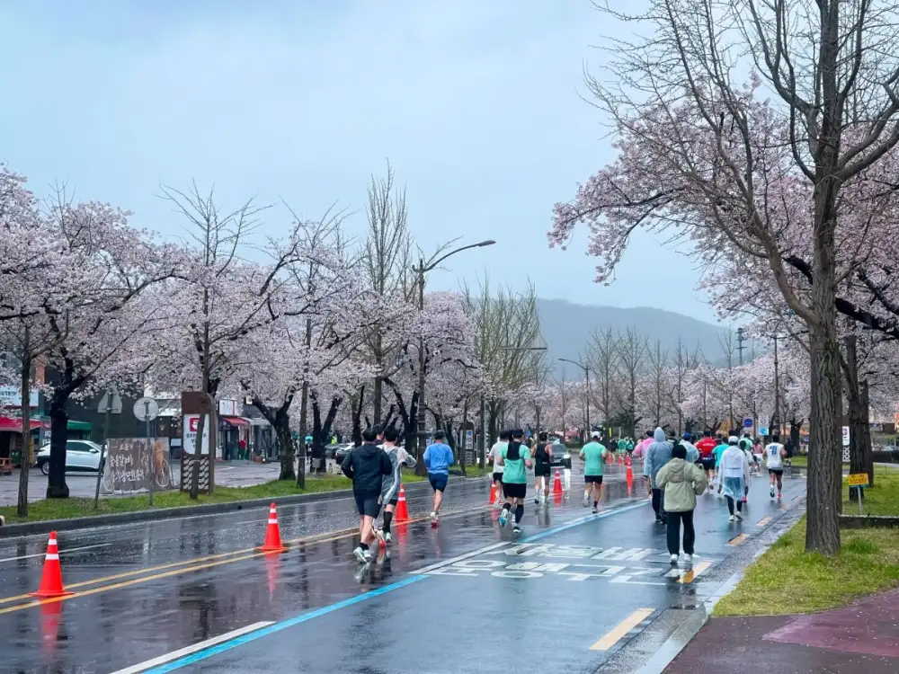 KTC and KTO Highlight Wellness Travel Trend