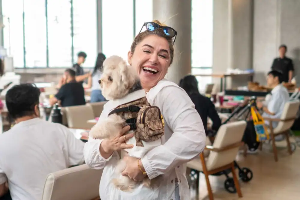 Animal Are Fun at Aloft Bangkok Sukhumvit 11 brings you Sunday Brunch & Bark  where dogs brunch for free and tails never stop wagging.