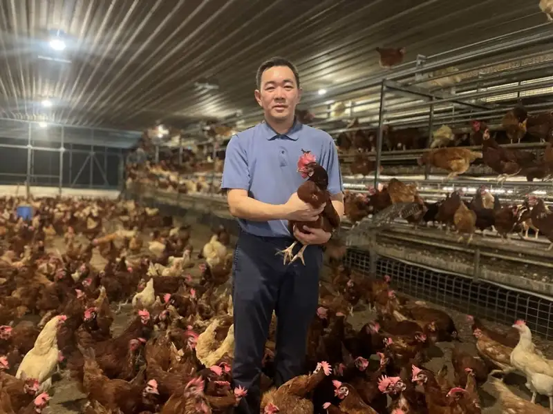 สงวนฟาร์มบุกเบิกโรงเรือนเลี้ยงไก่ไข่แบบไม่ขังกรงแบบหลายชั้น (Aviary System) แห่งแรกของไทย