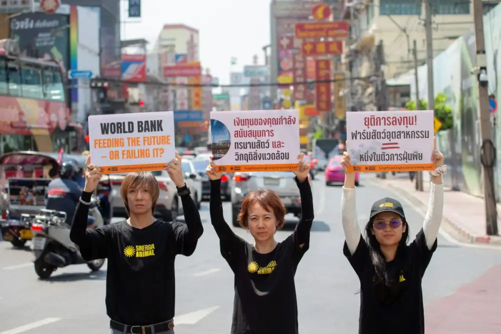 ไทยร่วมกว่า 20 ประเทศทั่วโลก เรียกร้องธนาคารโลกยุติการสนับสนุนฟาร์มปศุสัตว์ เชิงอุตสาหกรรม ก่อนประชุมใหญ่ที่กรุงเทพฯ