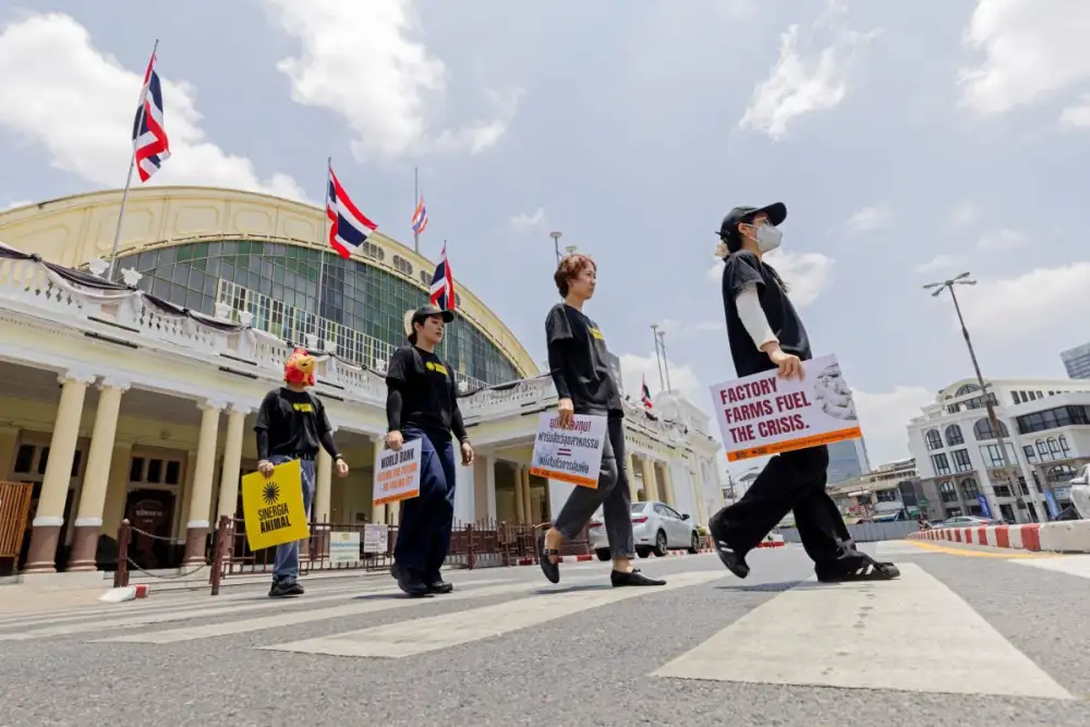 ไทยร่วมกว่า 20 ประเทศทั่วโลก เรียกร้องธนาคารโลกยุติการสนับสนุนฟาร์มปศุสัตว์ เชิงอุตสาหกรรม ก่อนประชุมใหญ่ที่กรุงเทพฯ