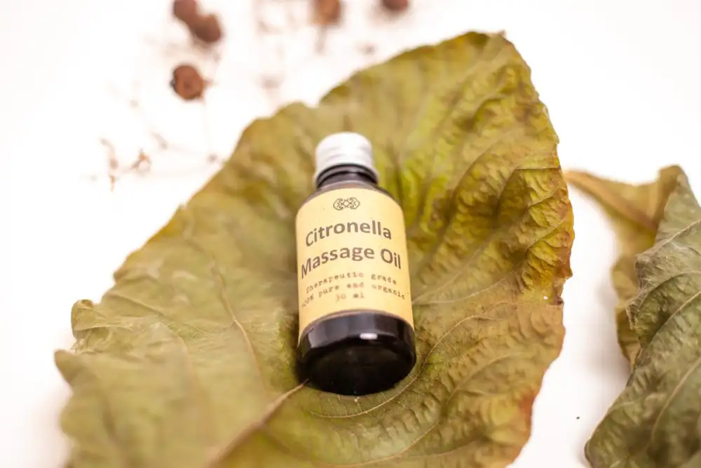 Innovative Organic Spa Products to Mitigate Flash Floods Through Restorative Economy Approach of Pulu Village