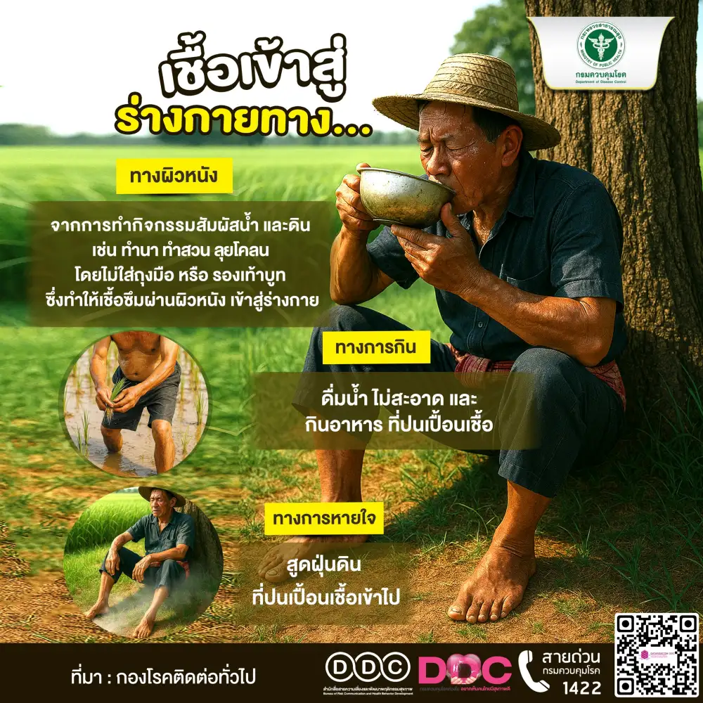 รู้จักโรคไข้ดิน!! สธ. ยกระดับเฝ้าระวังหลังพบผู้ป่วย 752 ราย เสียชีวิตแล้ว 23 ราย