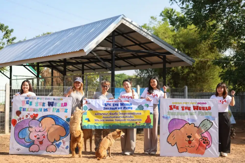 เมกาบางนา ผนึกกำลัง โครงการจรจัดสรร ส่งมอบบ้านพักพิงสำหรับสัตว์จร ให้กับ SOS ANIMAL THAILAND FOUNDATION