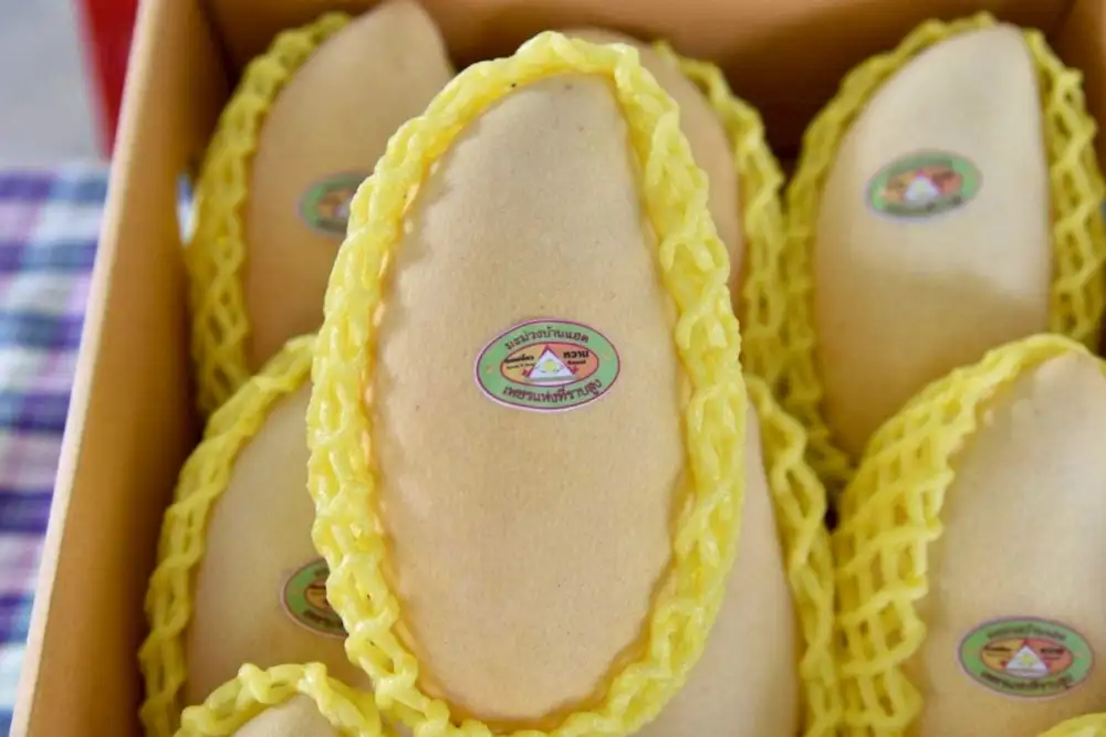 ชูของดี GI อีสาน 