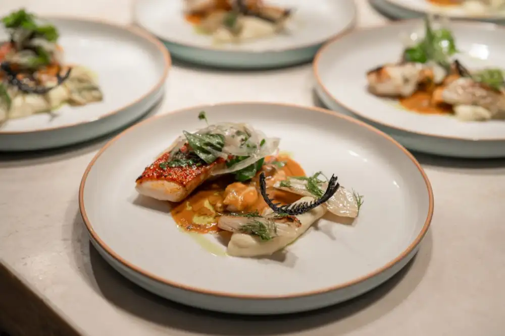 DRIFT ร่วมกับ Catch and Co. ณ JW Marriott Khao Lak Resort & Spa ยกระดับรสชาติแห่งทะเลอันดามันสู่ความยั่งยืน