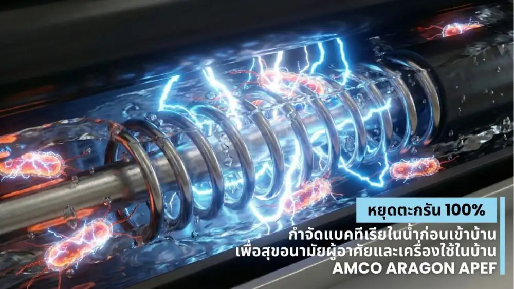 amco เปิดตัว 
