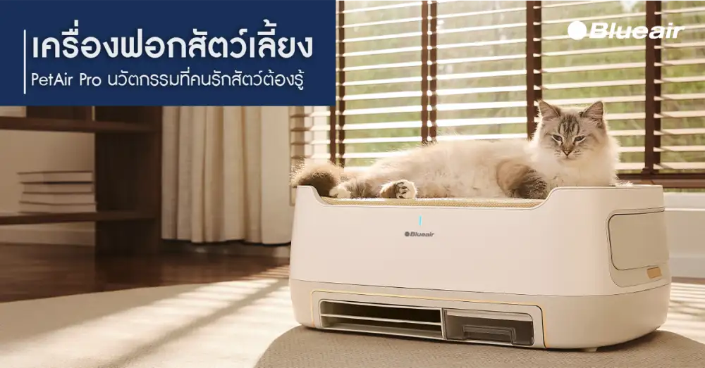 Blueair เปิดตัว PetAir Pro ต่างจากเครื่องฟอกอากาศสัตว์เลี้ยงทั่วไปอย่างไร? นวัตกรรมที่คนรักสัตว์ต้องรู้