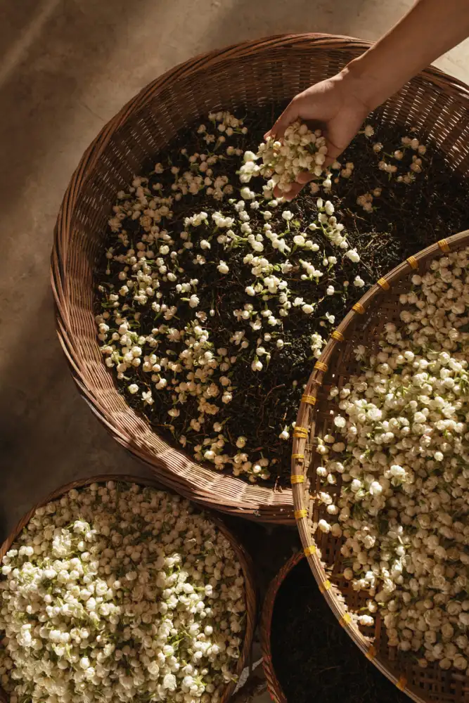 CHAGEE Marks International Tea Day with an Invitation to Explore the Beauty of Tea