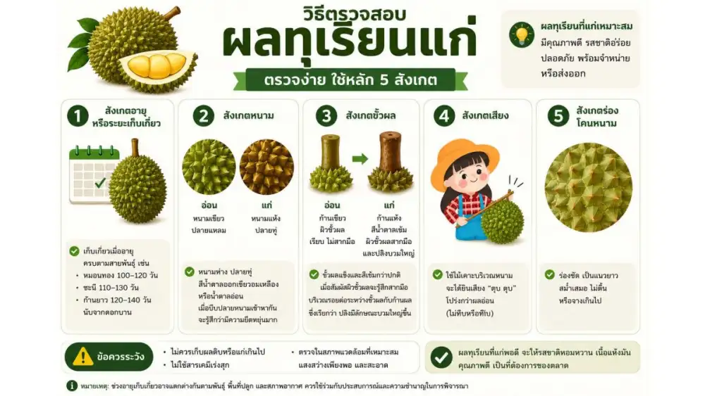 วว. ผนึกกำลังพันธมิตรยกระดับมาตรฐานห้องปฏิบัติการไทย ตรวจเข้มสาร