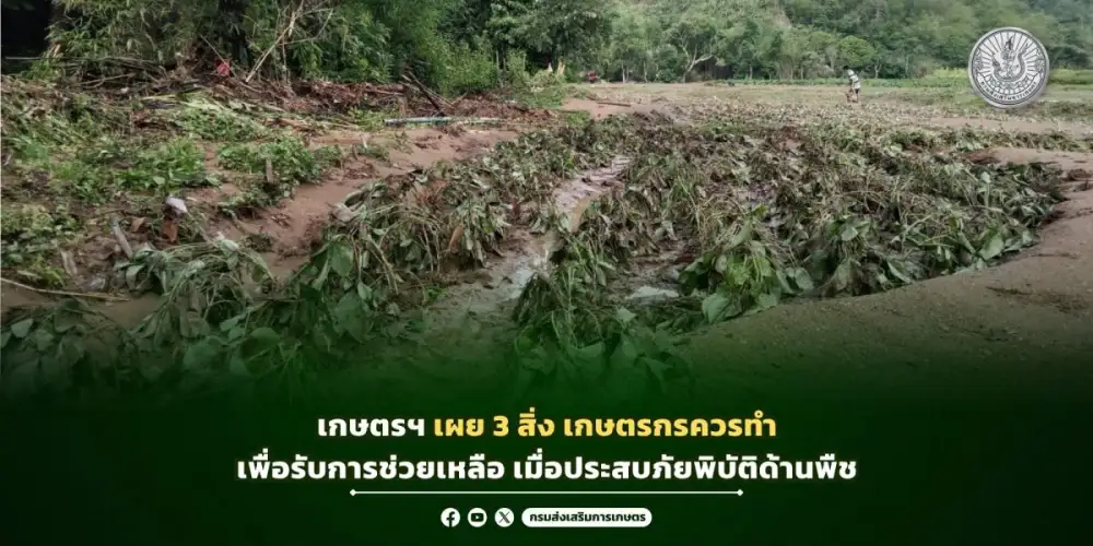 เกษตรฯ เผย 3 สิ่ง เกษตรกรควรทำ เพื่อรับการช่วยเหลือ เมื่อประสบภัยพิบัติด้านพืช