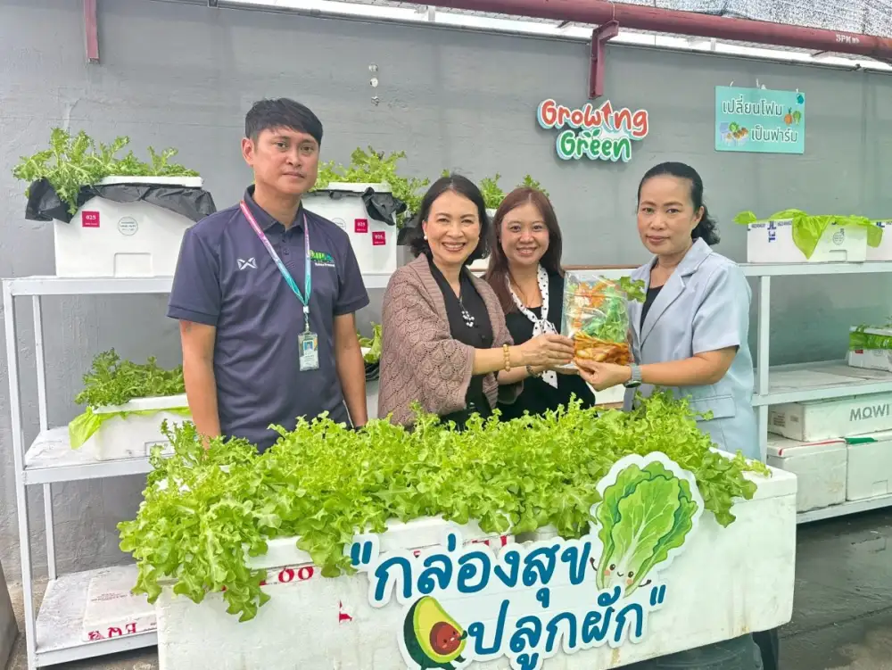 จากกล่องโฟมสู่แปลงผักคุณภาพ พาราไดซ์ พาร์ค โชว์ความสำเร็จกิจกรรม 