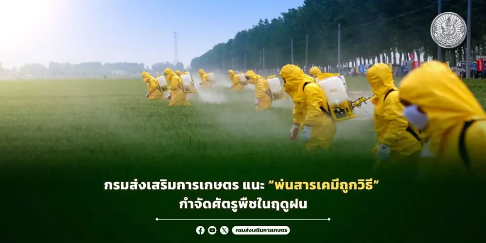 กรมส่งเสริมการเกษตร แนะ 