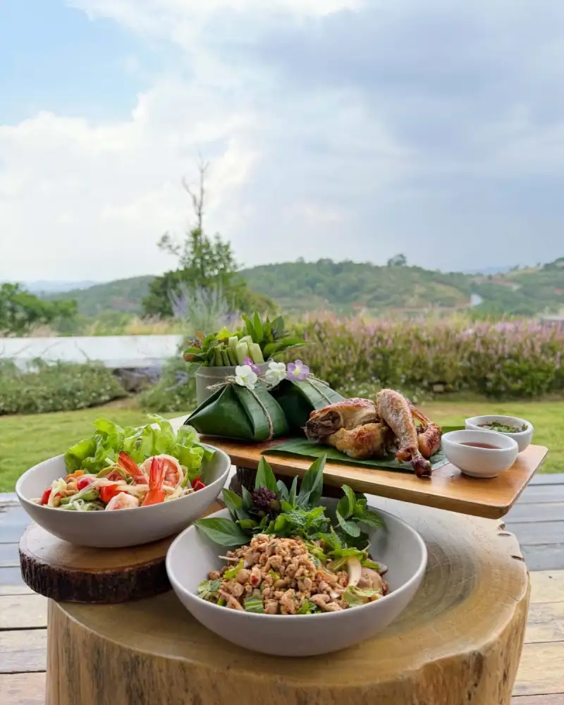 Savour the Flavours of Nature with