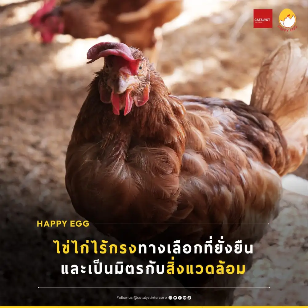วันสิ่งแวดล้อมโลก 2569 คะตะลิสต์เชิญชวนคนไทย 