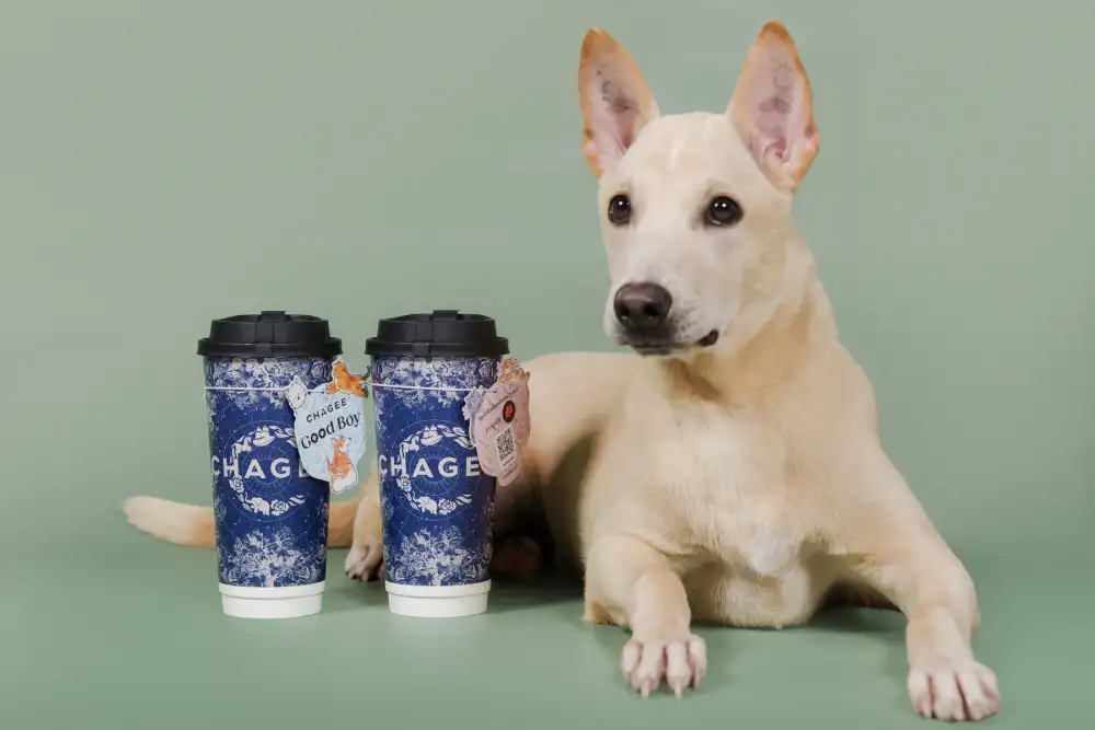 CHAGEE จับมือ Soi Dog เปิดตัวโครงการ CSR สุดอบอุ่น