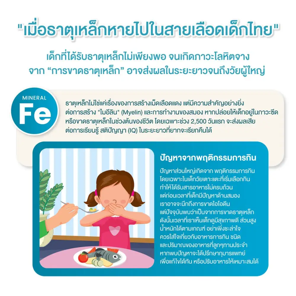 เมื่อธาตุเหล็กหายไปในสายเลือดเด็กไทย