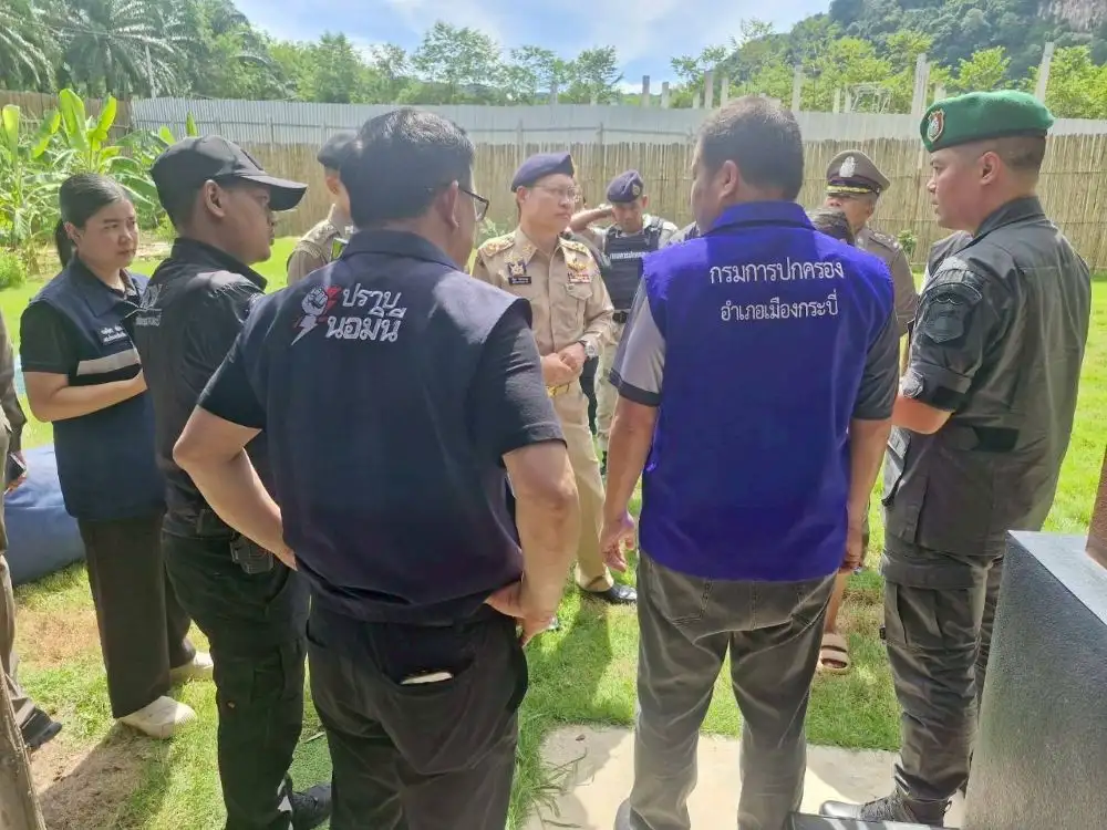 เปิดปฏิบัติการปูพรมตรวจนอมินี 