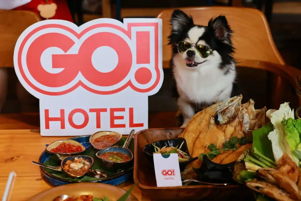 GO HOTEL ศรีราชา ชวนพาลูกรักสี่ขาเข้าพักฟรี! ลัดเลาะเที่ยวฟินใกล้กรุงฯ