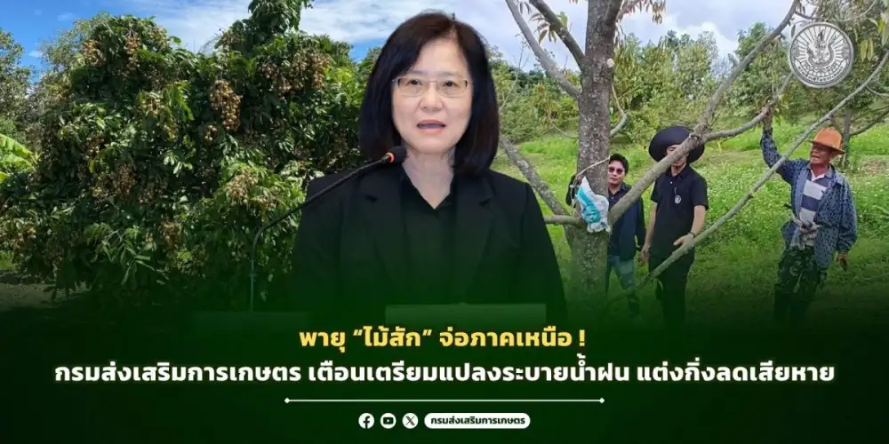พายุ
