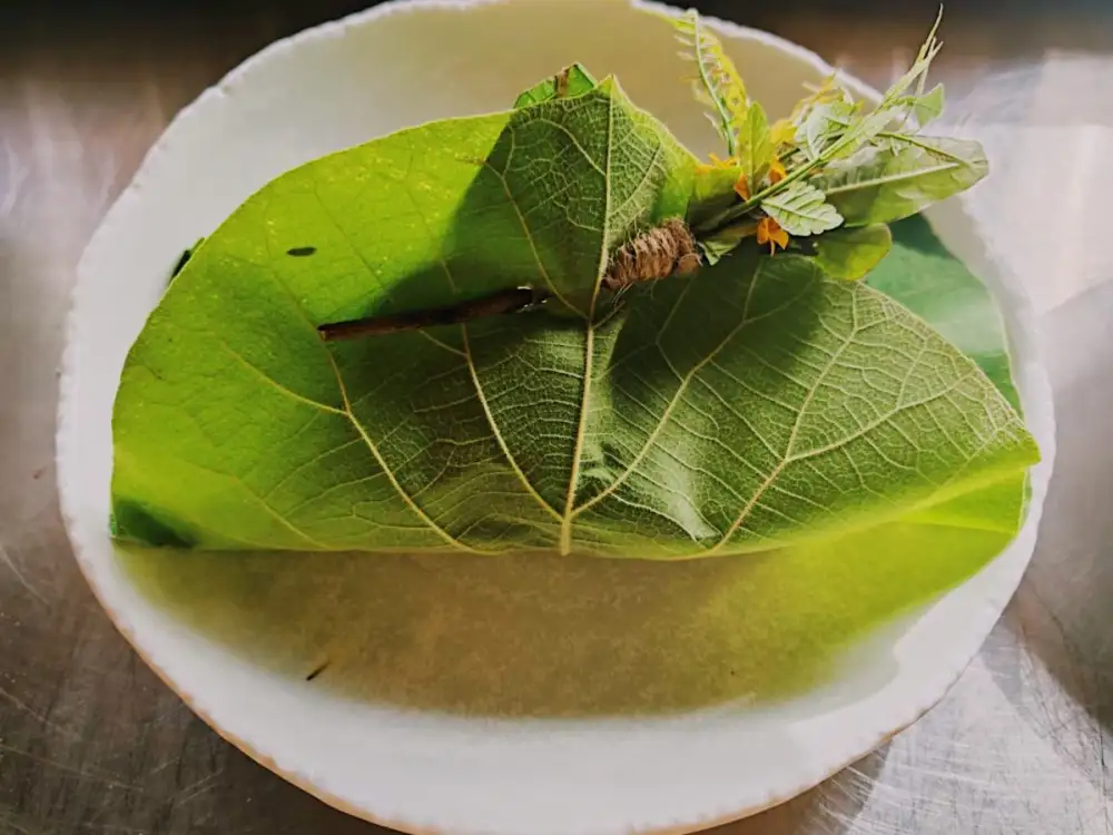 The 4th Element Tasting Experience การเดินทางผ่านรสชาติแห่งธาตุดิน น้ำ ลม ไฟ