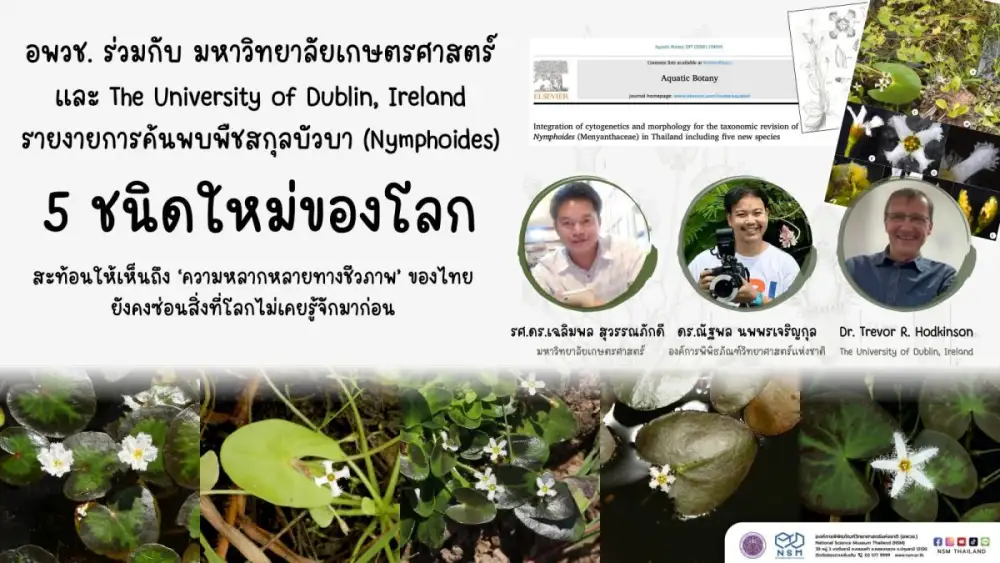 นักวิจัย NSM ร่วมค้นพบ