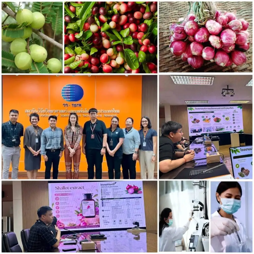 วว. นำเสนอศักยภาพงานวิจัย/เทคโนโลยีผลิตสารสกัดสมุนไพรไทย เพิ่มขีดความสามารถการแข่งขัน ต่อยอดเป็นผลิตภัณฑ์เสริมอาหาร เครื่องสำอาง