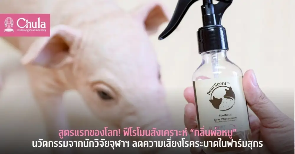 สูตรแรกของโลก! ฟีโรโมนสังเคราะห์