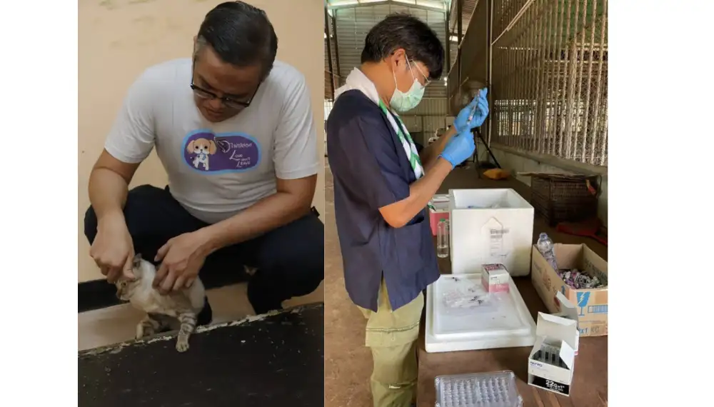 TSPCA เตือนโรคอุบัติใหม่จากสัตว์สู่คน พร้อมย้ำให้ดูแลสัตว์อย่างเข้าใจ