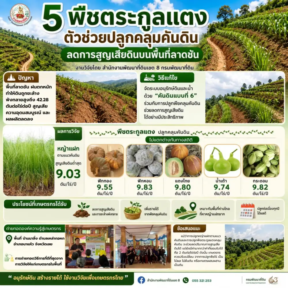 กรมพัฒนาที่ดิน ชวนปลูก 5 พืชตระกูลแตง ช่วยคลุมคันดิน ลดดินพังทลาย