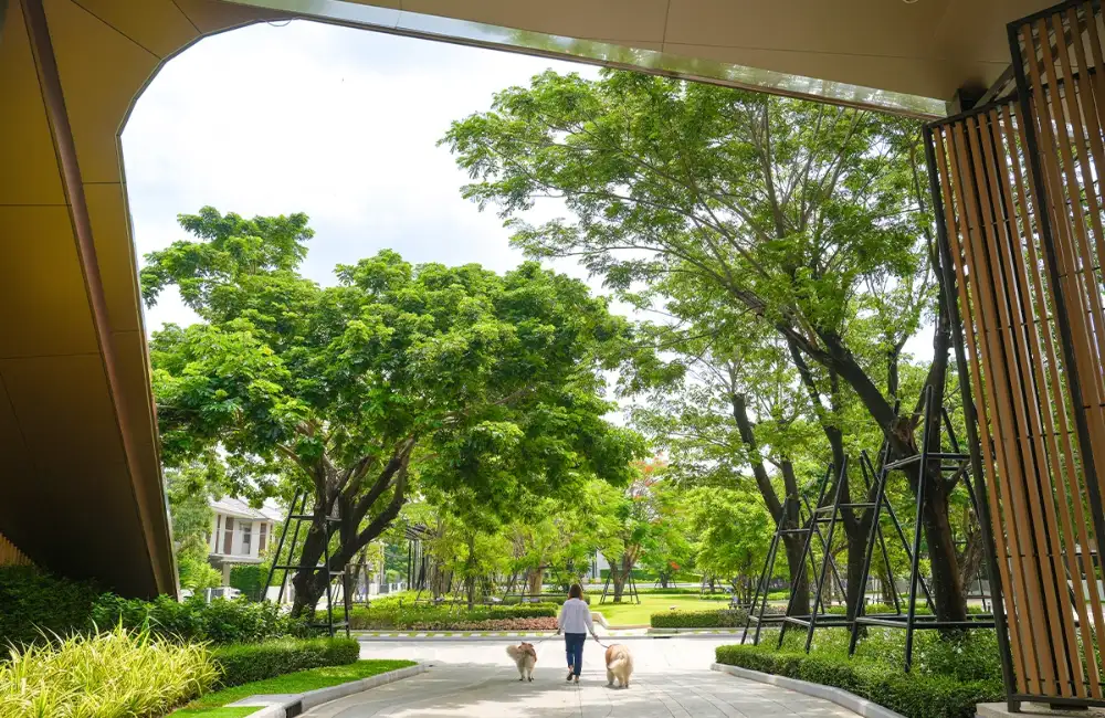 ปักหมุดบ้านในฝัน! โครงการบ้านบางนา ตอบโจทย์ทุกเจนจากแสนสิริ