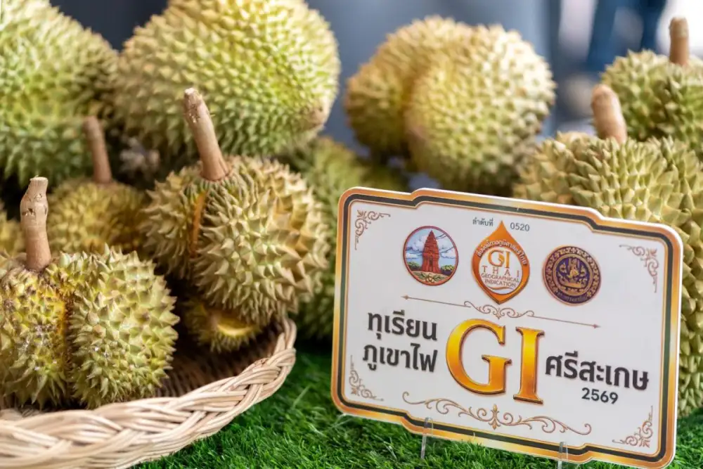 กรมทรัพย์สินทางปัญญา พา