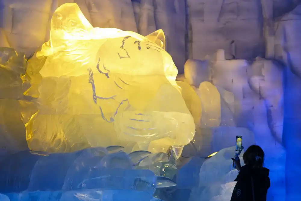 Over 20 International Mainstream Media Outlets Explore Innovation and Vitality in Harbin
