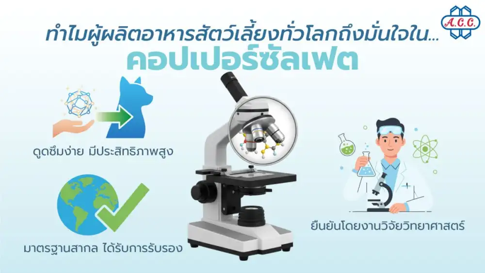 ไขข้อสงสัย! ทำไมอาหารสัตว์เลี้ยงระดับโลก ยังเลือกใช้ 