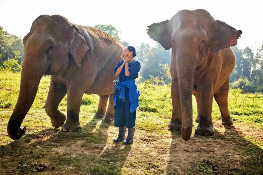 Tracee Ellis Ross Spotlights Anantara Golden Triangle in Solo Traveling with Tracee Ellis Ross Season 2