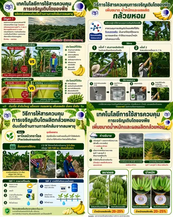วว. ชูนวัตกรรม