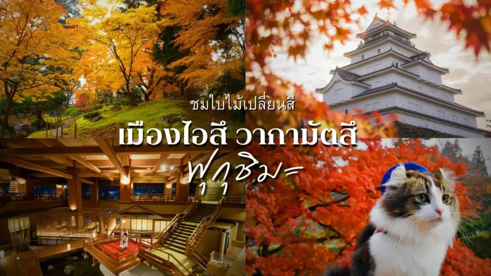 รีบไปก่อนแมส! เต็มอิ่มกับ 5 จุดชมใบไม้เปลี่ยนสีณ เมืองไอสึ วากามัตสึ จังหวัดฟุกุชิมะ