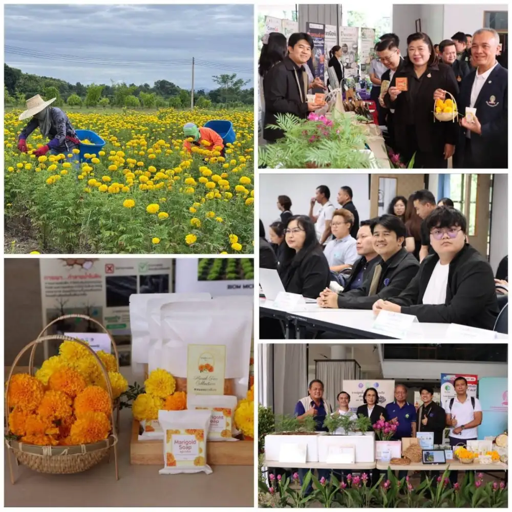 วว. โชว์ผลงานวิจัยการใช้ประโยชน์จากทรัพยากรในพื้นที่ ร่วมขับเคลื่อนบูรณาการงานวิจัย PM2.5 จังหวัดน่านและแพร่